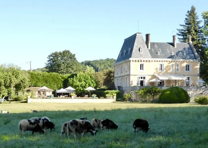 Château De Maison d'hôtes 4*